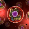Eukaryotic.io