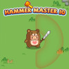 Hammer Master io